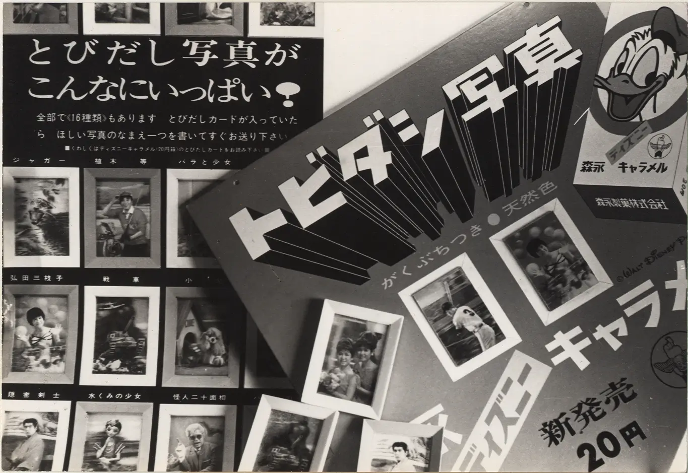 立体写真（3D）を開発、凸版印刷（株）と技術提携