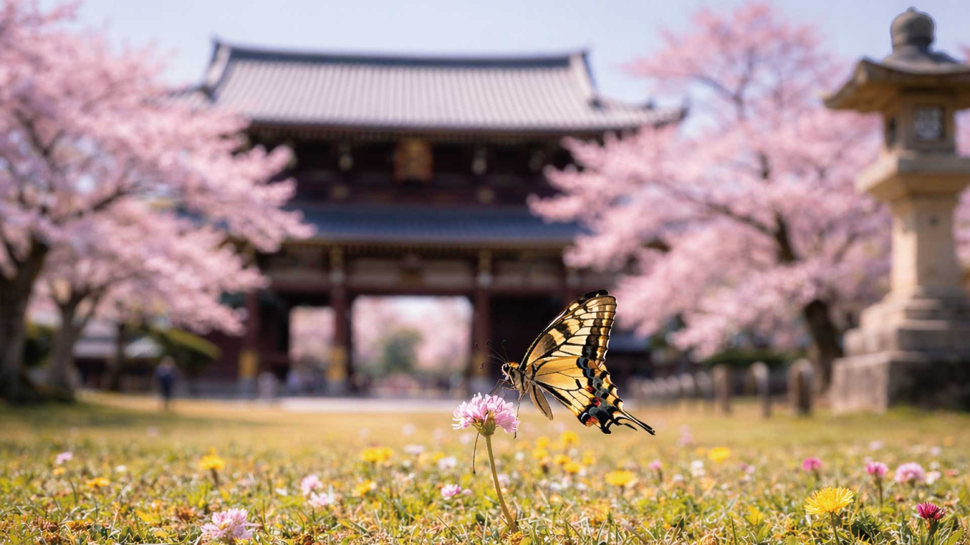 株式会社晃和ディスプレイ