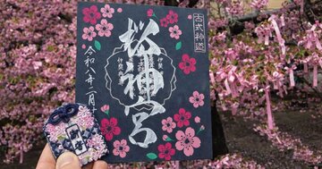 桜神宮を訪ねて｜おまいり日和Instagram更新のお知らせ